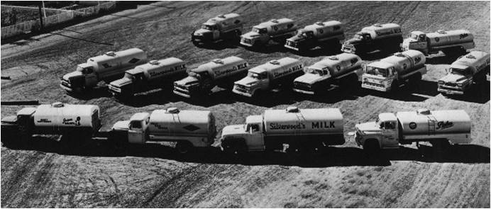 milk_rollout_trucks_1957