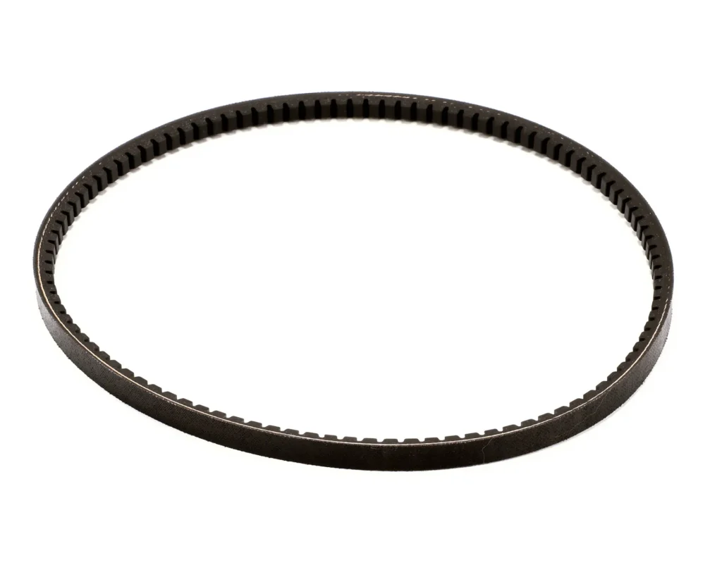 Taylor Belt, AX36