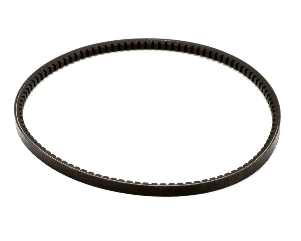 Taylor Belt, AX36