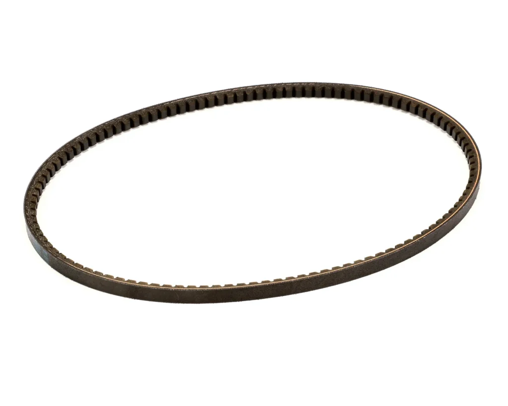 Taylor Belt, AX38