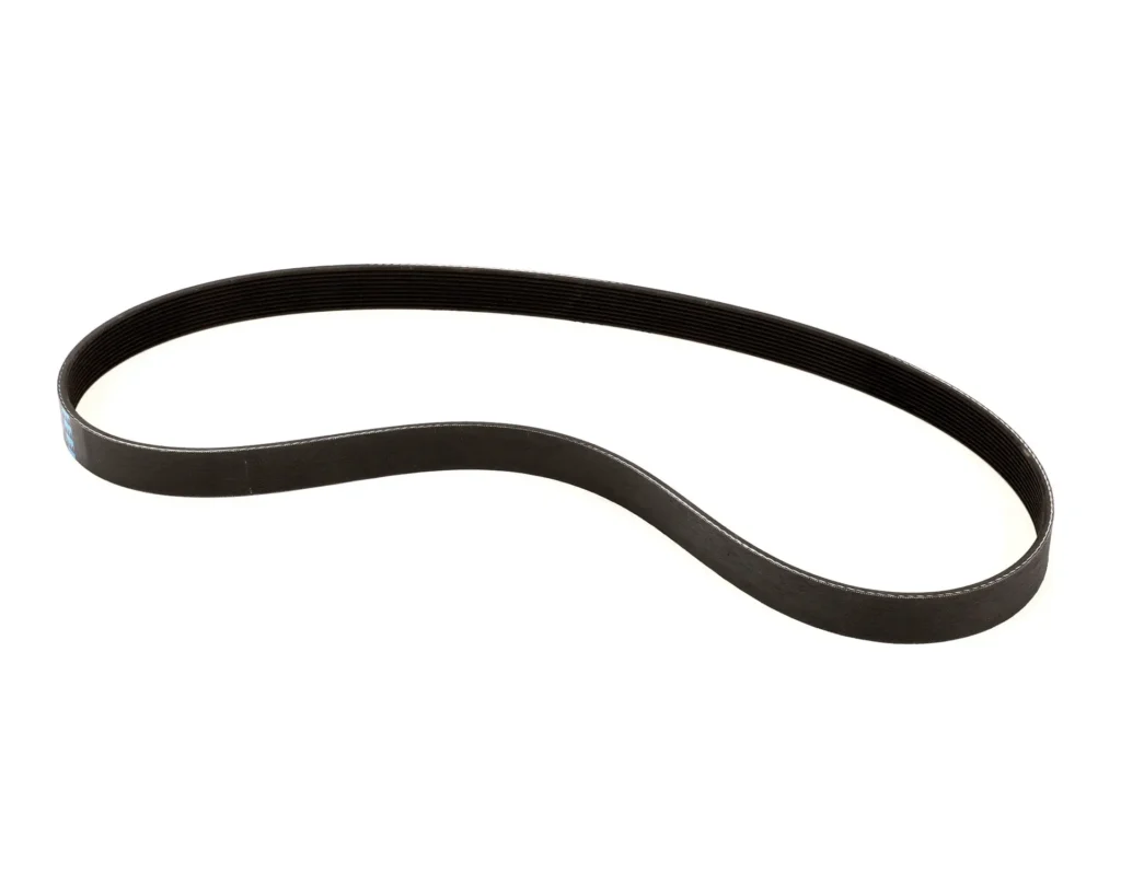 Taylor V Belt, 430J10