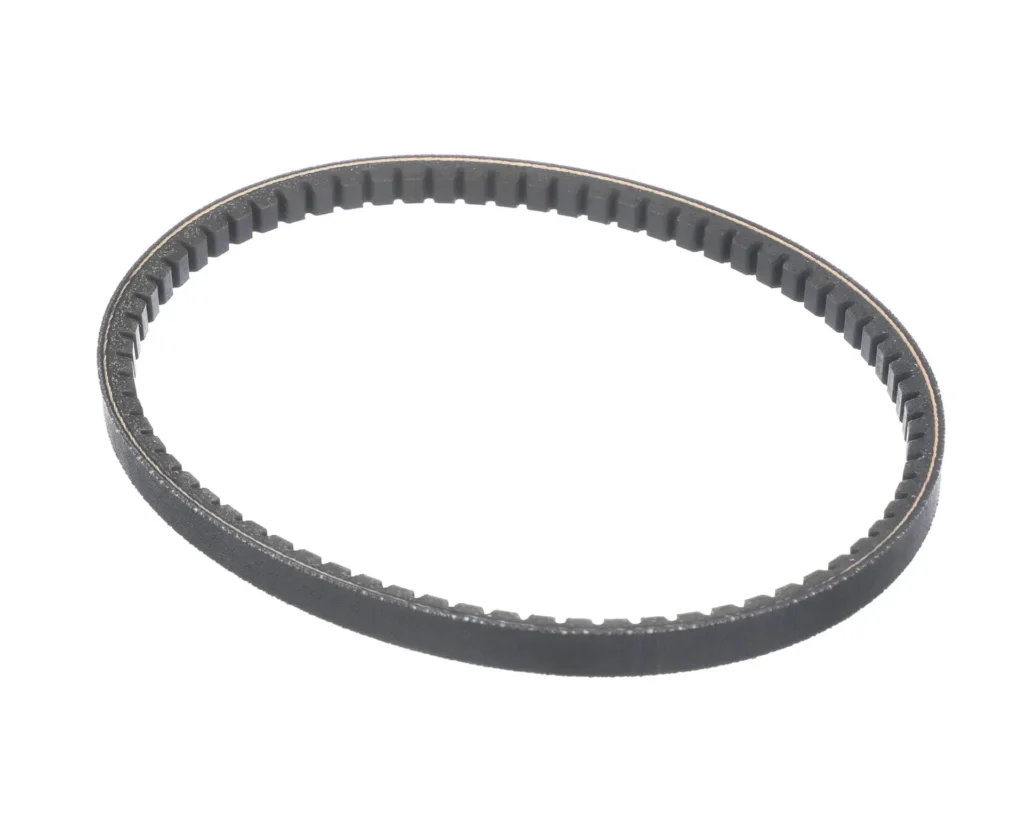 Taylor Belt, AX23