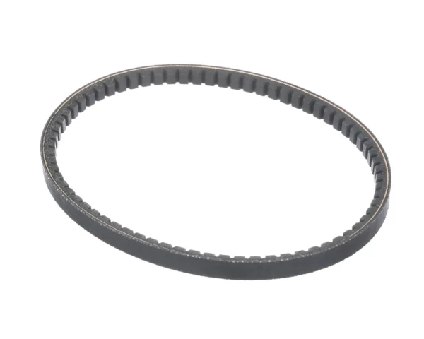 Taylor Belt, AX23