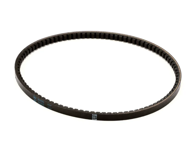 Taylor Belt, AX31
