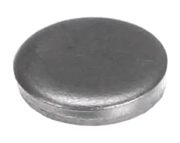 Taylor Grill Plate Plug Disc
